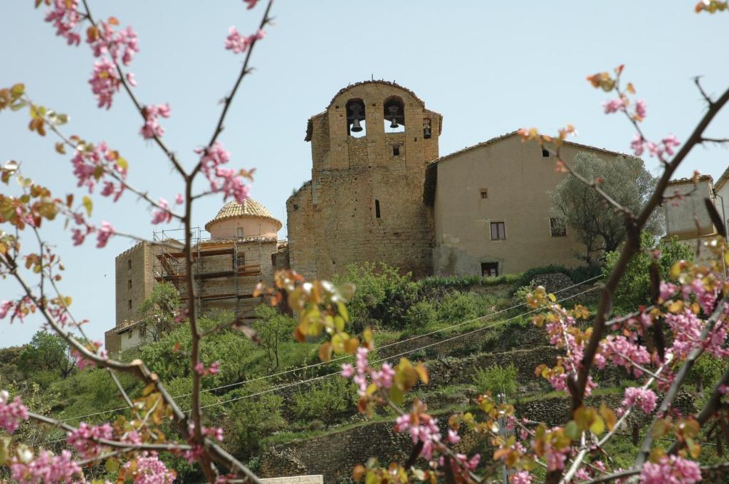 Casa Rural Nuri De Rei A Y B Todolella Номер фото
